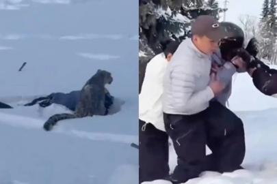 Çin'de kar leoparı turiste saldırdı