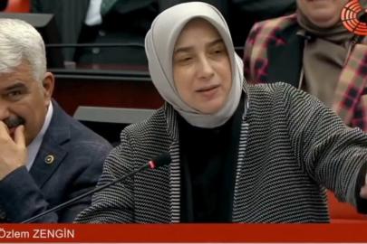 TBMM'de AK Partili Özlem Zengin ile CHP’li Tahsin Ocaklı arasında soyadı tartışması