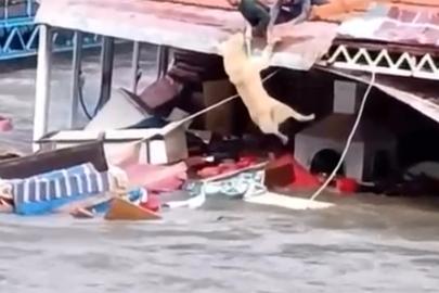 Antalya'da kuvvetli yağış 6 ilçede hasara neden oldu, mahsur kalan hayvanlar kurtarıldı