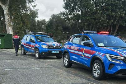 Bodrum’da 2 köpeğin öldürülmesi olayında savcılık itirazı sonrası tutuklama talebi