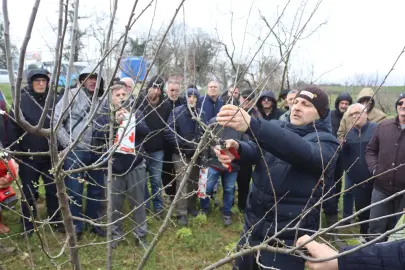 İzmit'te üreticilere uygulamalı budama eğitimi