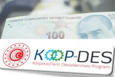 KOOP-DES Yönetmeliği’nde değişiklik Resmi Gazete'de