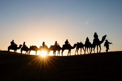 Suudi Arabistan'da "deve pasaportu" projesi