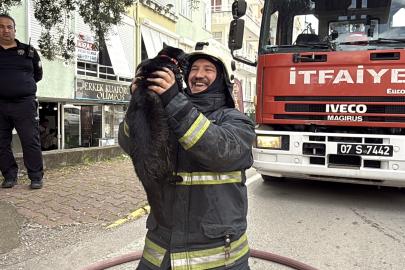 Kalp masajıyla kediyi yaşama bağlayan itfaiye erinin mutluluğu