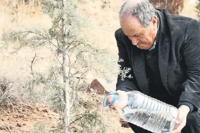Helal olsun Mustafa amca