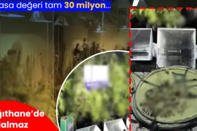 Kağıthane'de operasyon! Koku gelen eve baskın: Dev uyuşturucu serası ele geçirildi