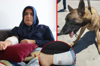 Kızını yolcu etmek isterken köpek saldırısına uğradı! Talihsiz kadın kabus dakikalarını anlattı: Beni paramparça edecekti!
