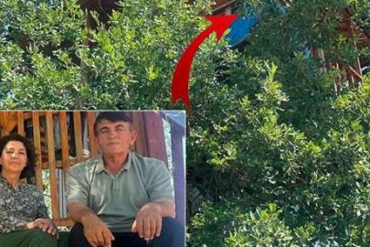 150 yıllık meşe ağacının üzerinde sıra dışı sığınak: Bir daire fiyatına mal oldu