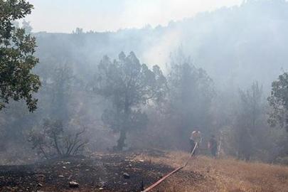 Bursa''da orman yangını! Alevlere, havadan ve karadan müdahale