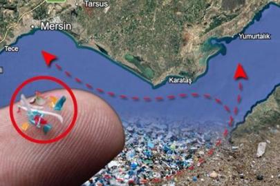 İl il eylem planı hazırlanıyor! Denizde sürüklenip Mersin’e ulaşıyor: ‘Adana’da güzellik konuşulmalı’
