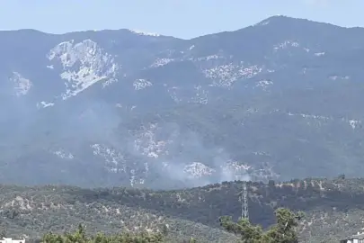 Kazdağı Milli Parkı'nda orman yangını