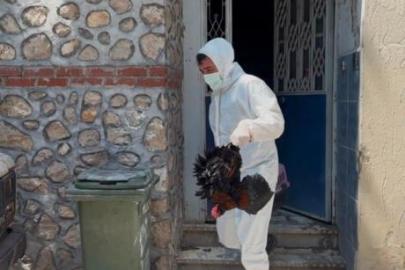 Mahalle pire istilasıyla karşı karşıya kaldı! 3 katlı binadan çıkanlar şaşkına çevirdi