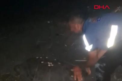 Sahilde yönünü şaşıran caretta carettayı vatandaşlar denize ulaştırdı