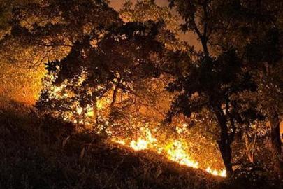 Tunceli'de korkutan yangın: Munzur Vadisi Milli Parkı'ndaki alevler kontrol altına alındı