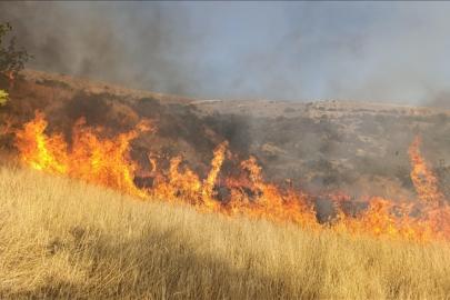 Tunceli'de orman yangını: Ekipler müdahale ediyor