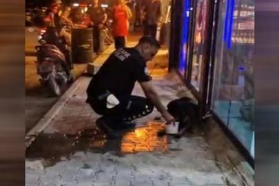Hatay'da sokak köpeğini av tüfeğiyle yaralayan şüpheli gözaltına alındı