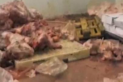 Yakalanmasalardı vatandaşa yedireceklerdi! Başkentte 104 ton bozuk et ele geçirildi