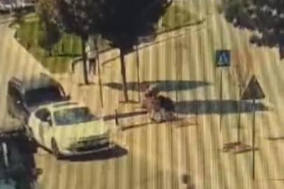 Zeytinburnu'nda yayayı darbeden trafik magandası yakalandı
