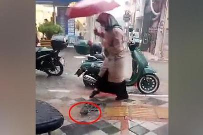 Canlı yayın yaparken gözlerine inanamadı! Mazgaldan çıkan görenleri korkuttu